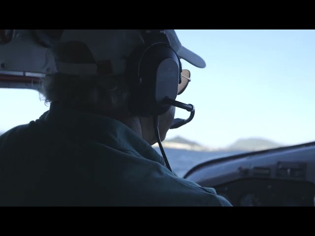 A Lap Around Honolulu