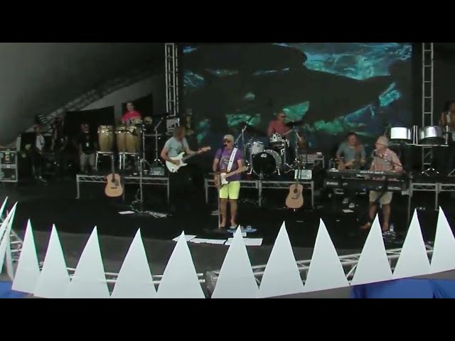 Fins - Live from Shark Week (2014)